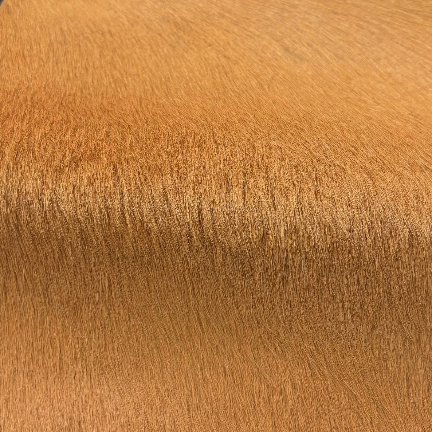 Hair-on Cow Hide | SAMPLES