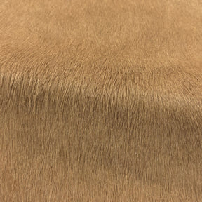 Hair-on Cow Hide | SAMPLES
