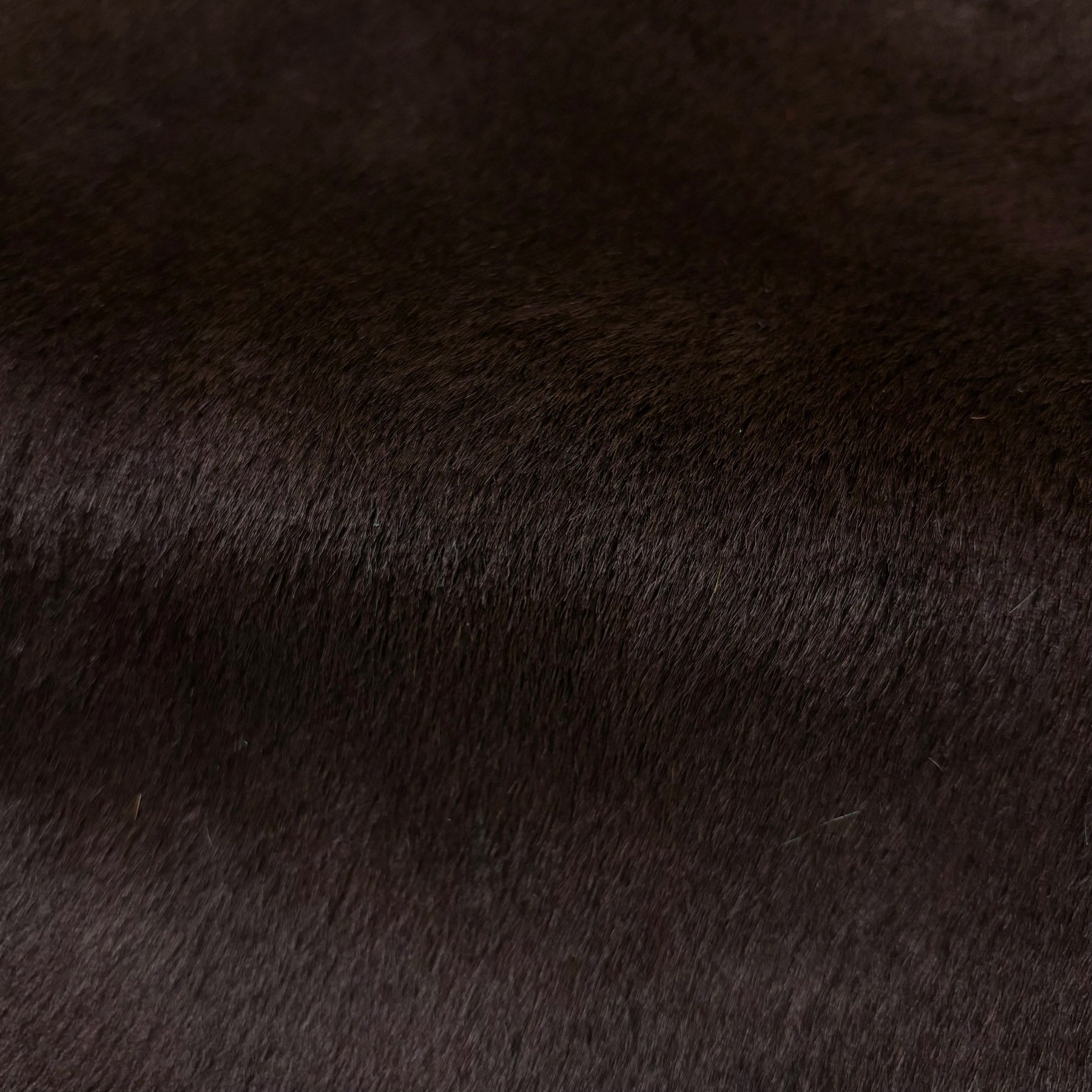 Hair-on Cow Hide | SAMPLES