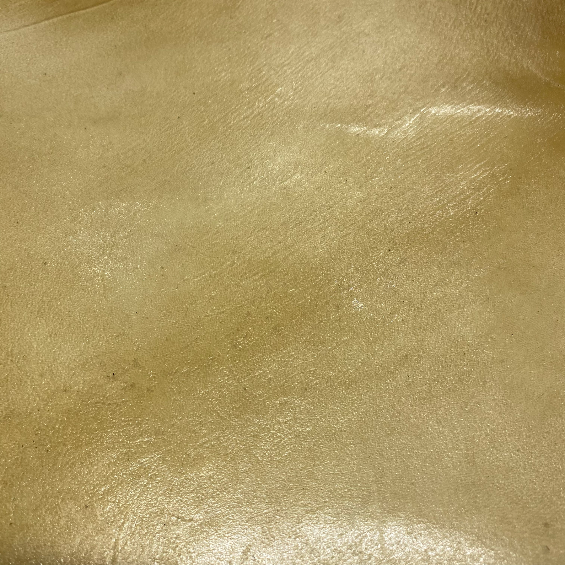 Transparent Lamb Hide