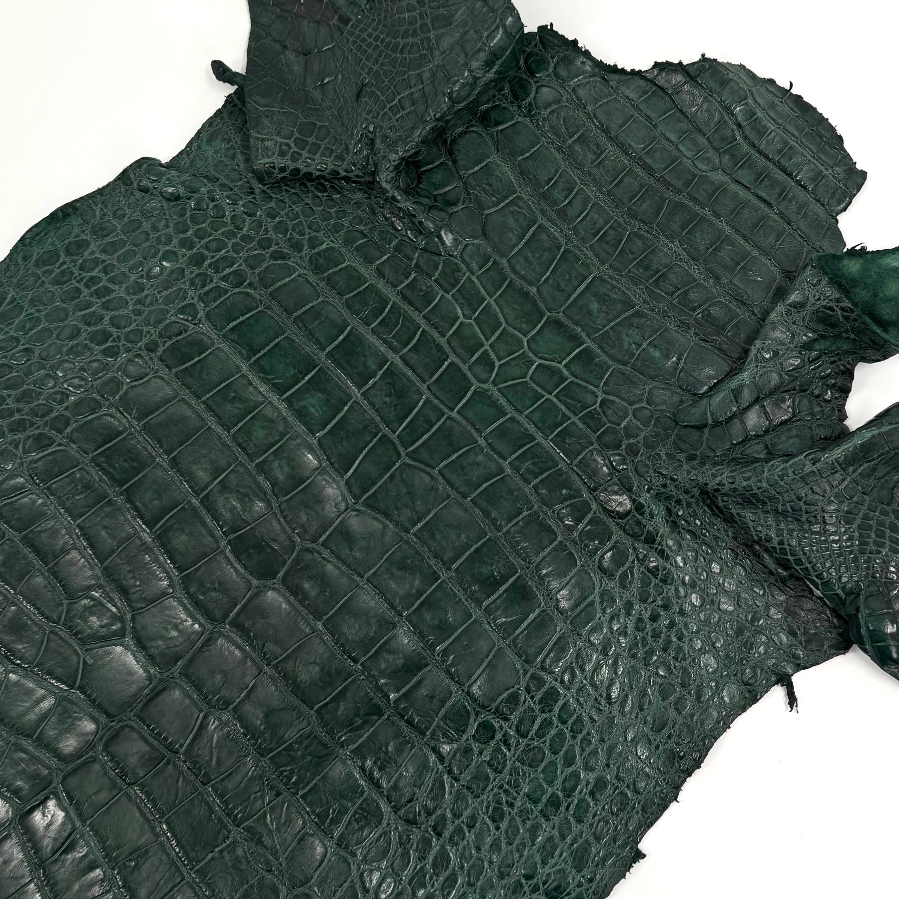 Floridian Wild Alligator (Millenium Finish)
