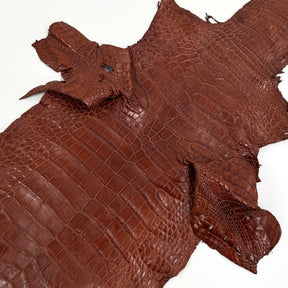 Floridian Wild Alligator (Millenium Finish)