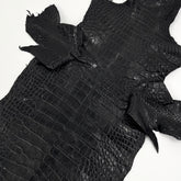 Floridian Wild Alligator (Millenium Finish)