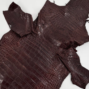 Floridian Wild Alligator (Millenium Finish)