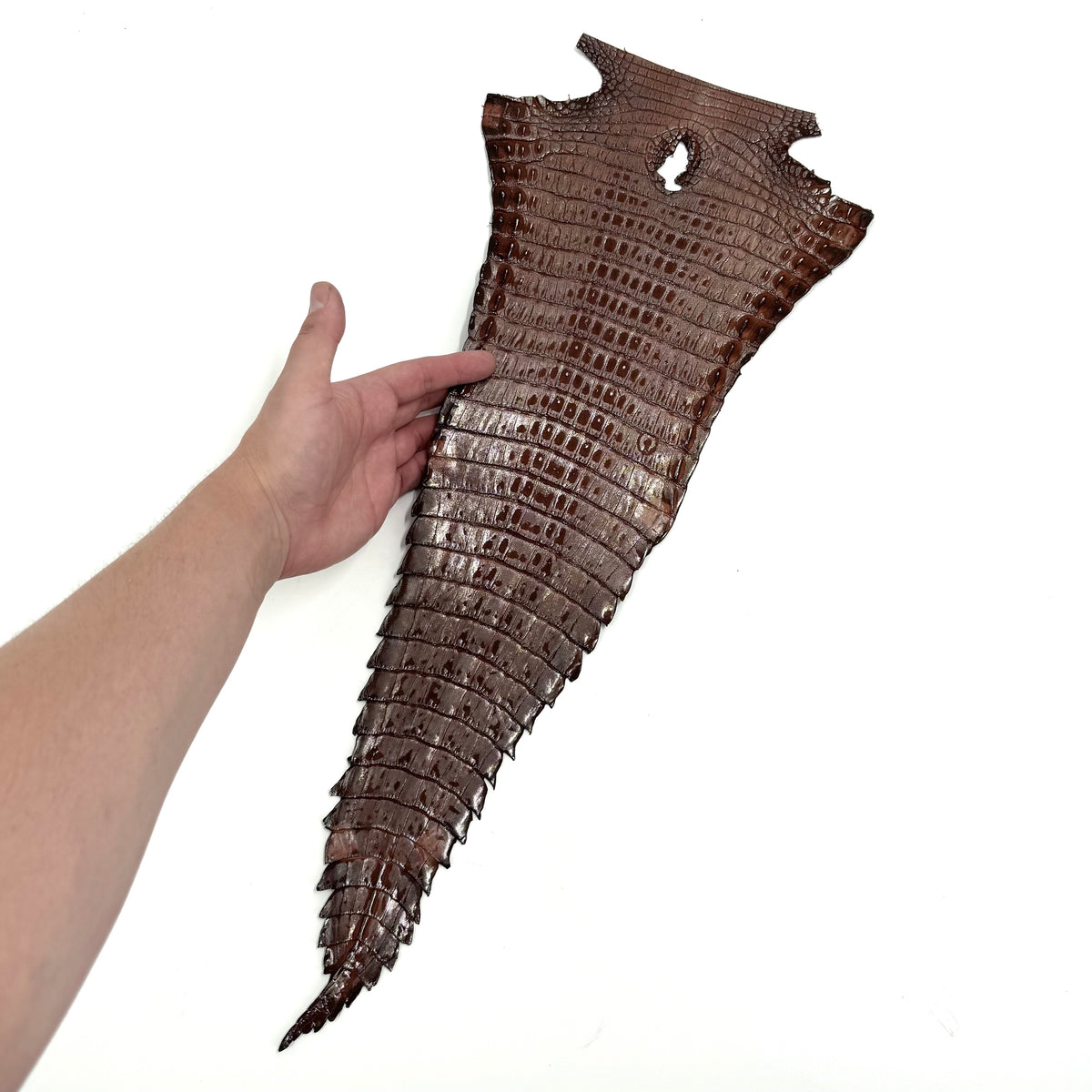 Individual Caiman Tails | SALE