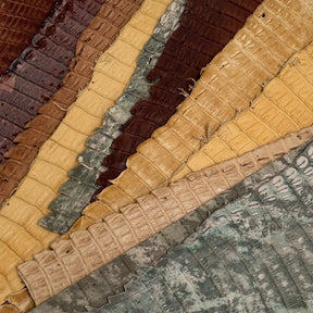 Individual Caiman Tails | SALE