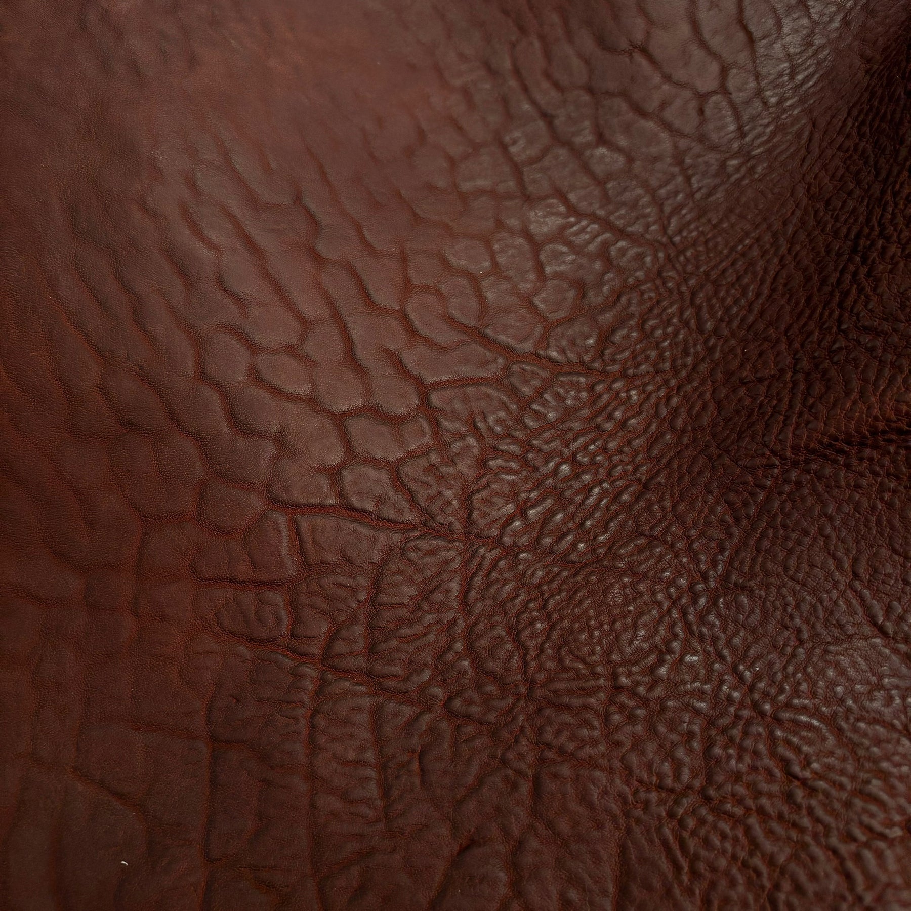 Crude Culatta Horse | Pre Cuts