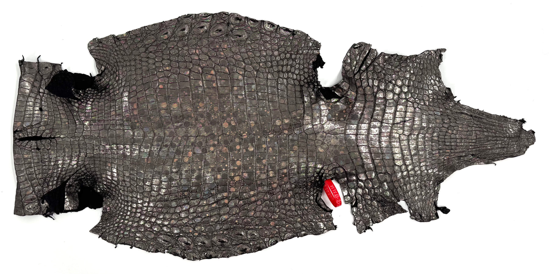 Italian Bubble Holographic Foiled Alligator - Only 1 Available
