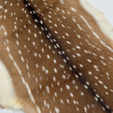 Extra Soft Axis Wild Deer Hide