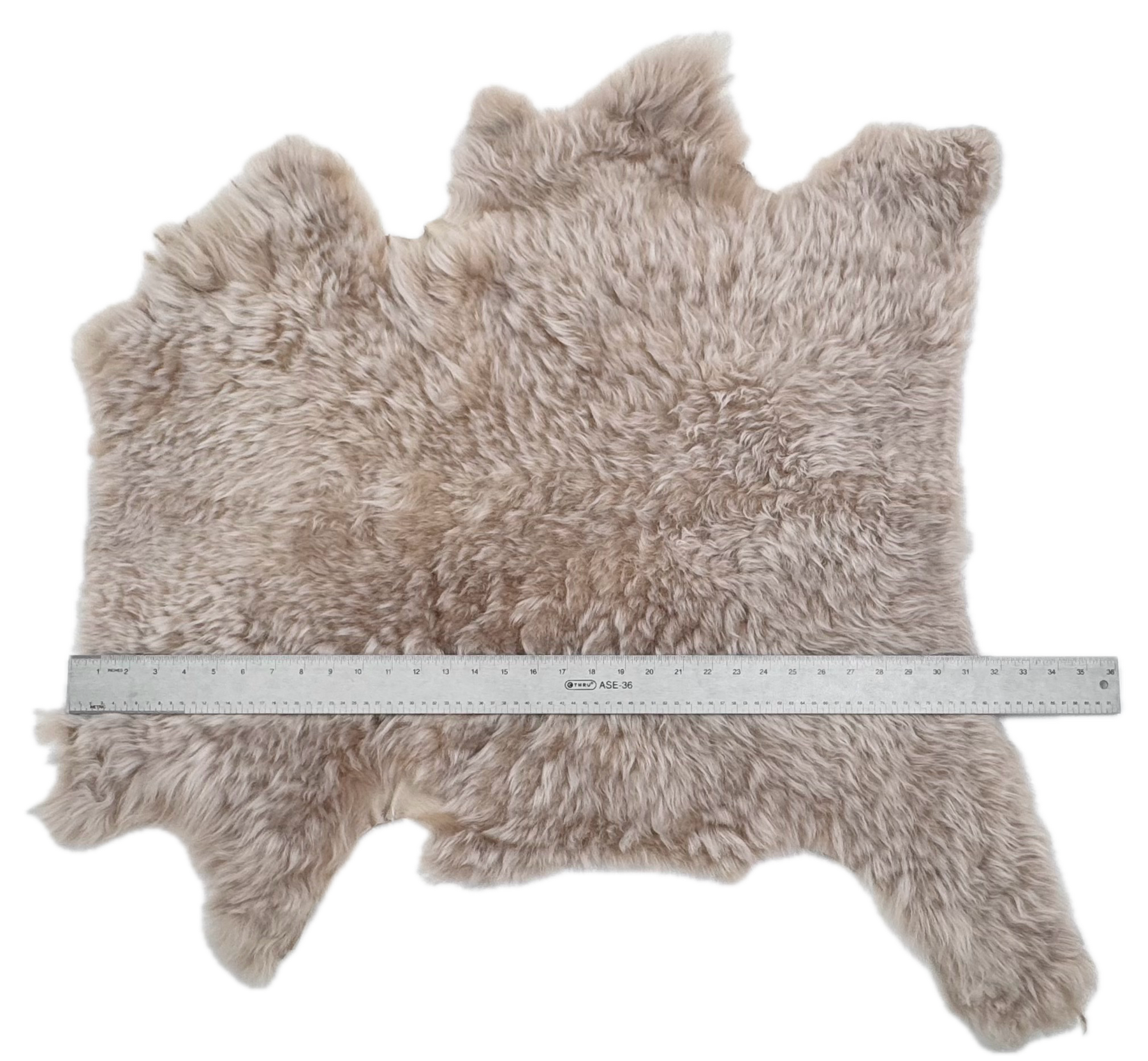 Two-Tone Icelandic Curly Shearling with Leather Backing