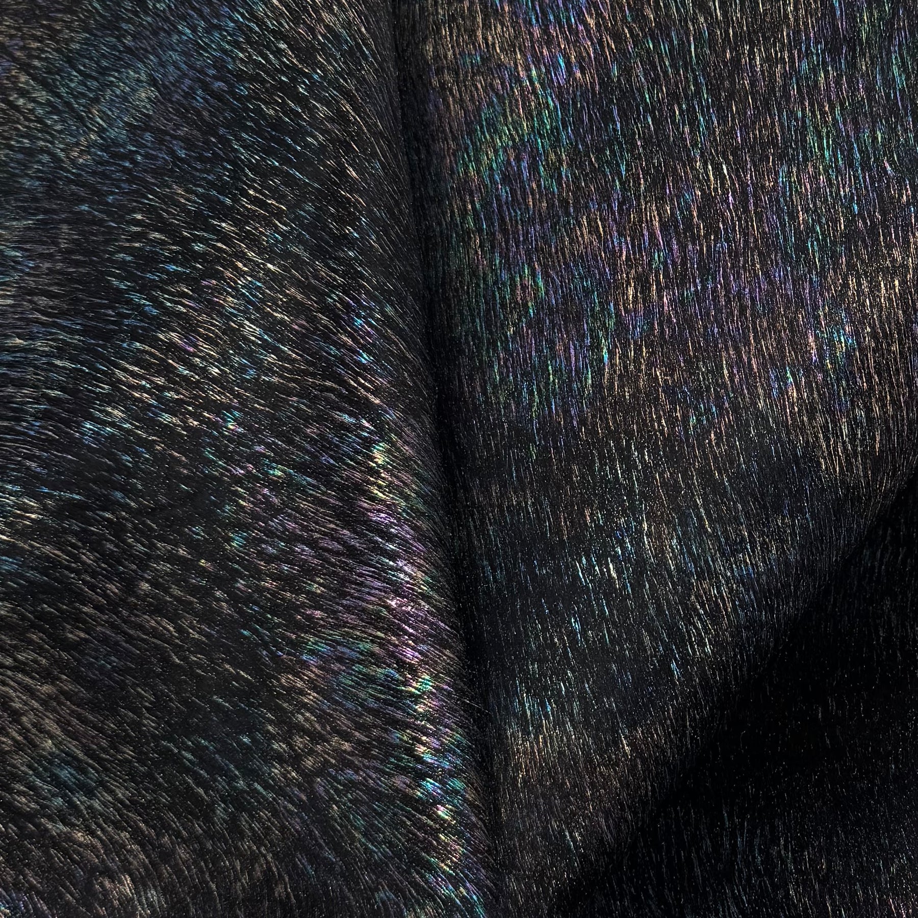 Only 5 Available | Peacock Monet Holographic Hair-On Cow