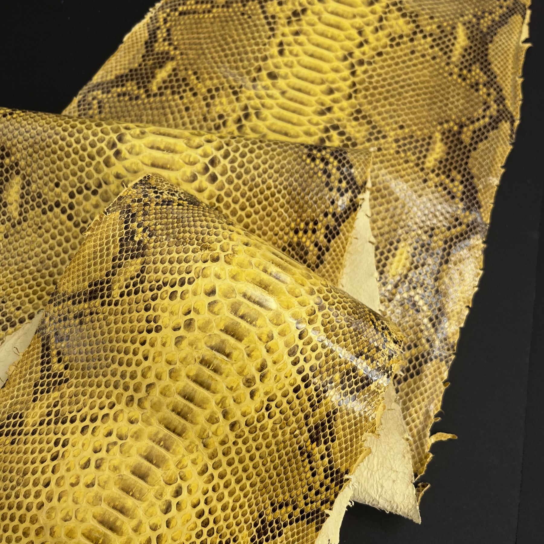 Python Genuine Leather