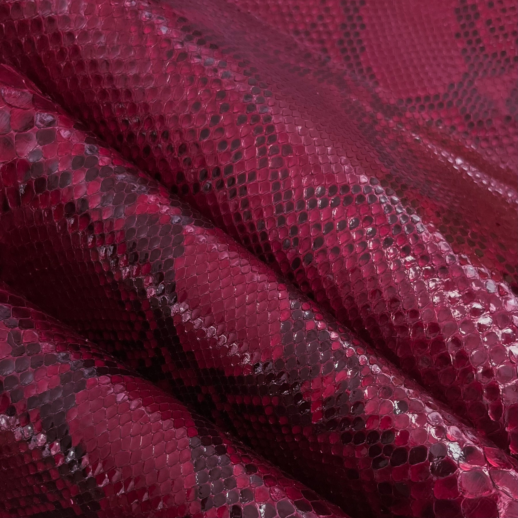 Python Glazed | Burgundy | Front Cut Long Tail