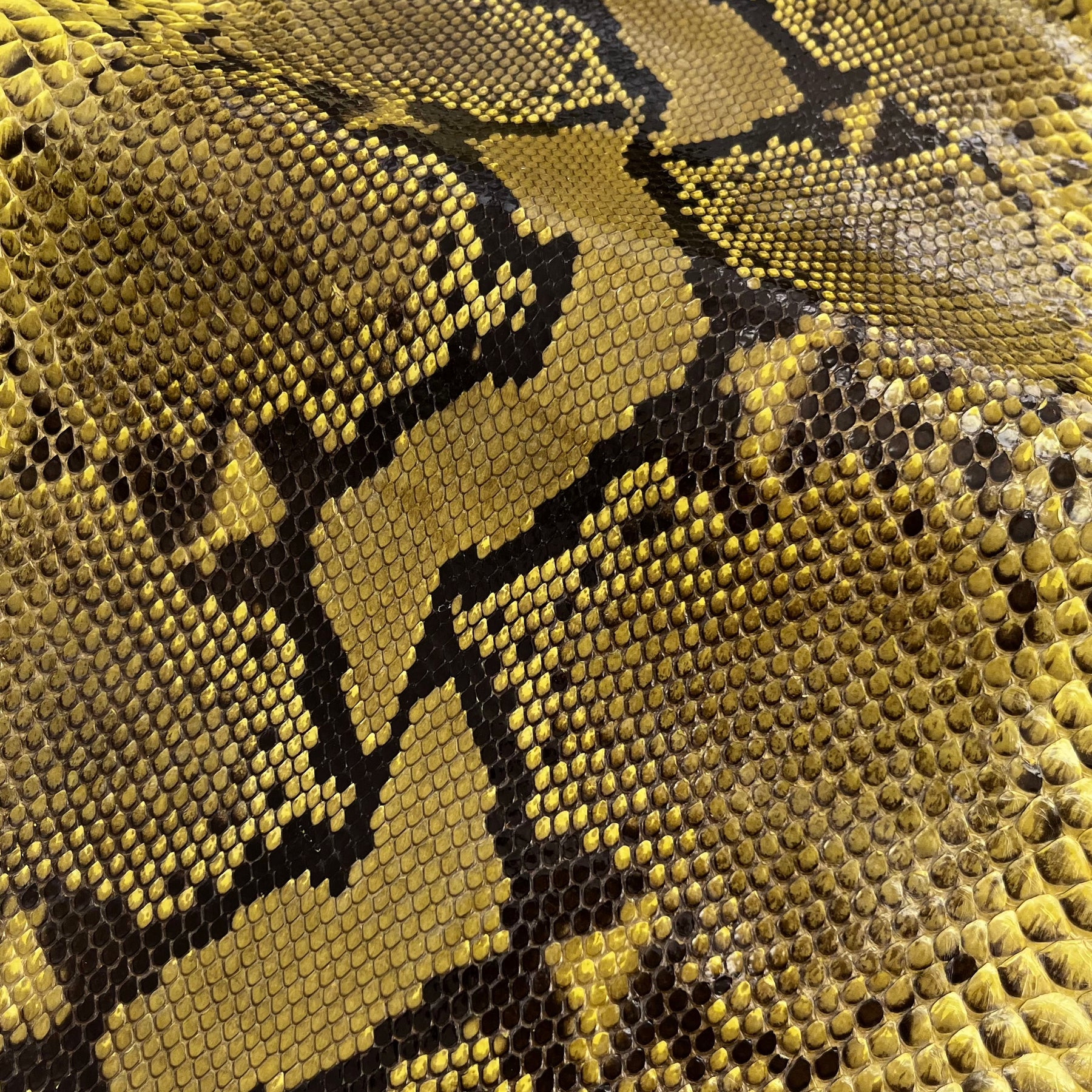 Python Metallic Leather Python Genuine Leather