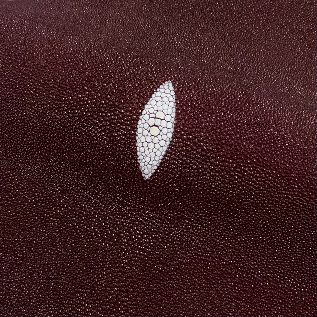 Stingray/Shagreen Genuine Skin | Burgundy | 11" Wide