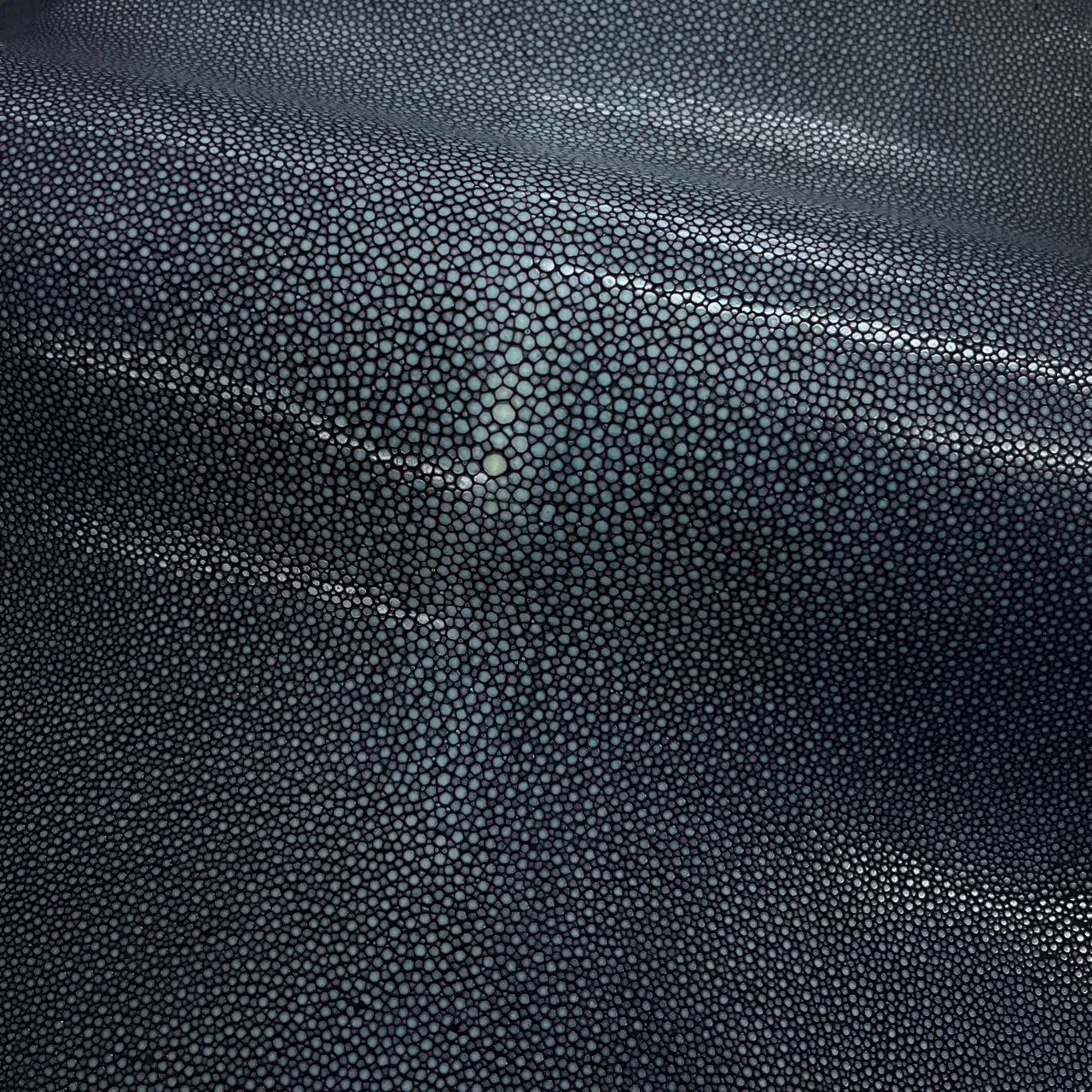 Sanded Stingray/Shagreen Genuine Skin | Navy | 11" Wide