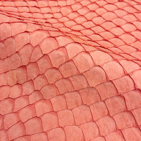 Pirarucu Fish | Matte | Coral