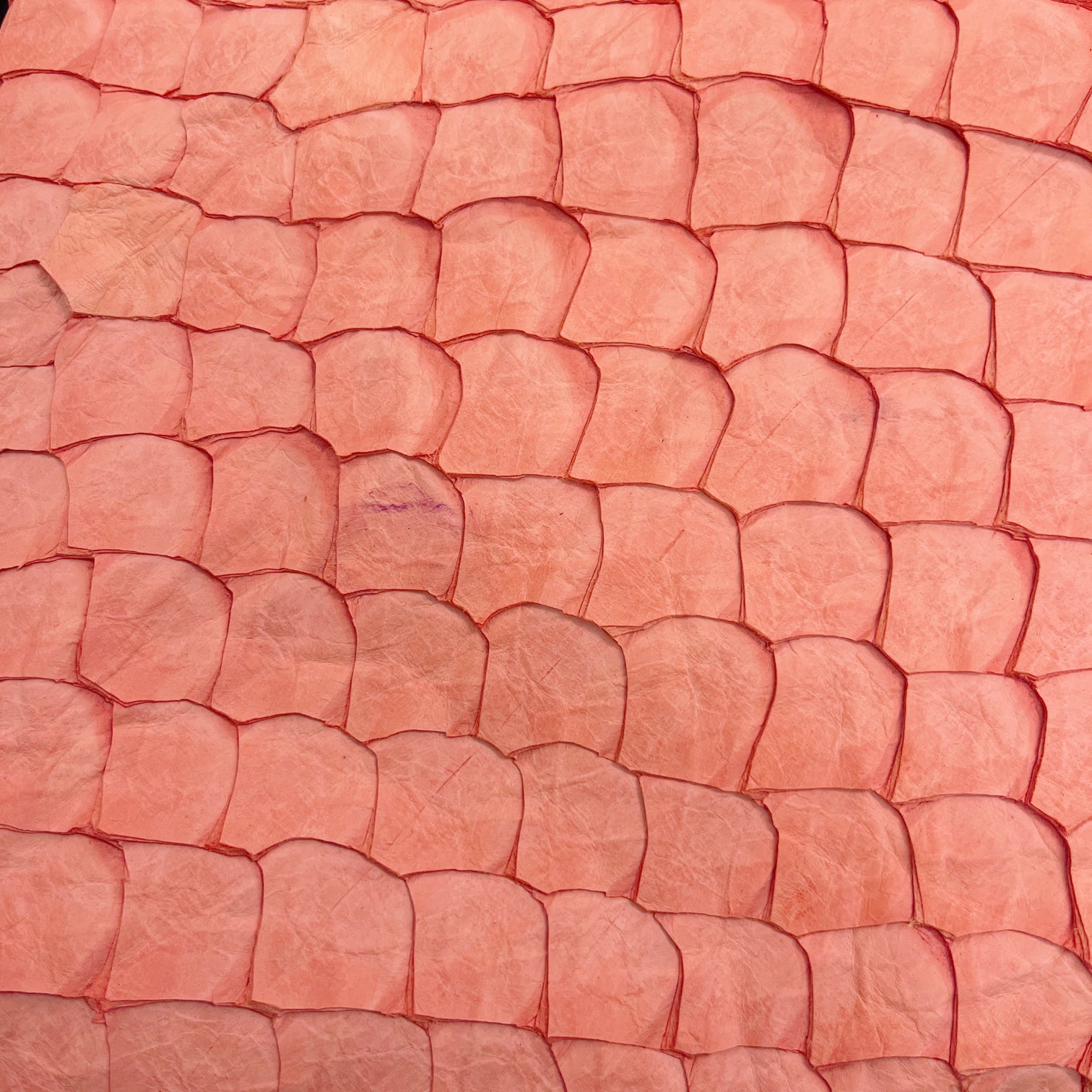 Pirarucu Fish | Matte | Coral