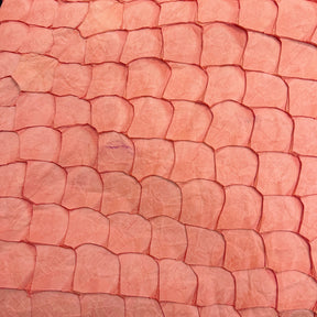Pirarucu Fish | Matte | Coral