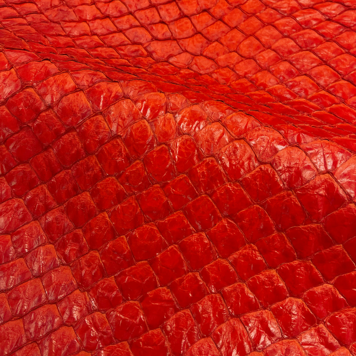 pirarucu leather