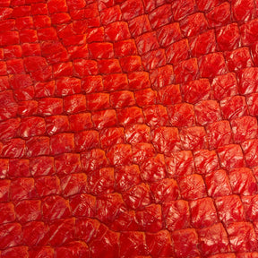 Pirarucu Fish | Shiny | Red Orange
