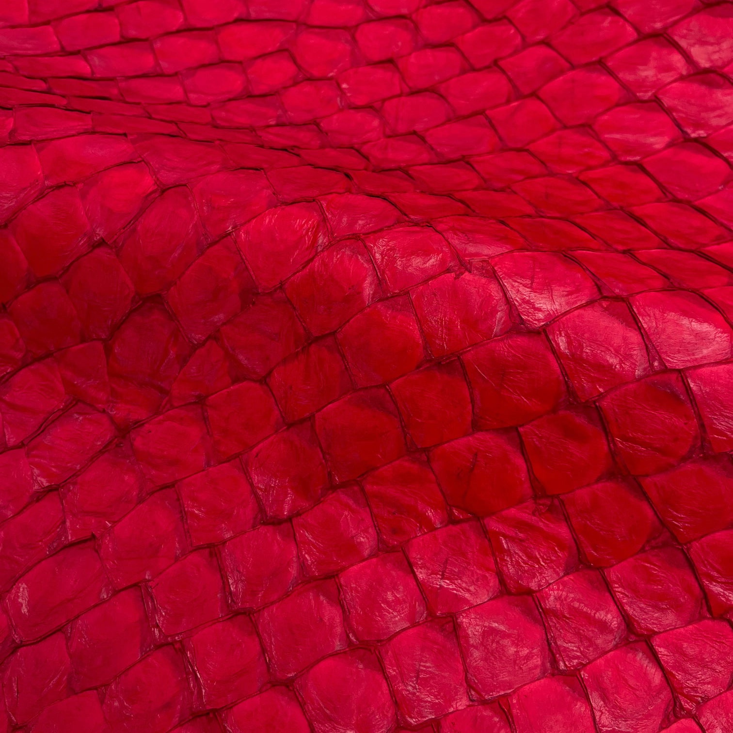 Pirarucu Fish | Semi Shiny | Fiery Red