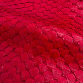 Pirarucu Fish | Semi Shiny | Fiery Red