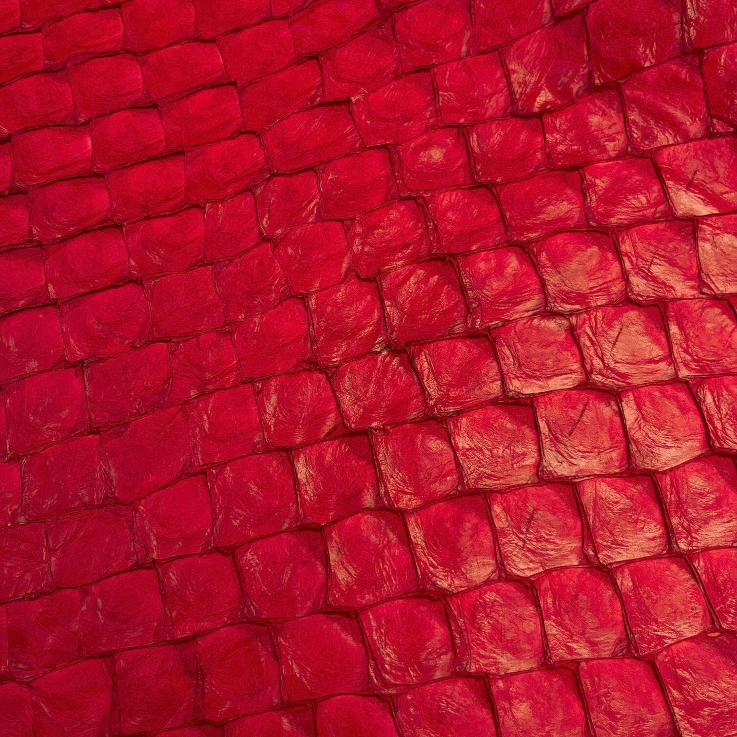 Pirarucu Fish | Semi Shiny | Fiery Red