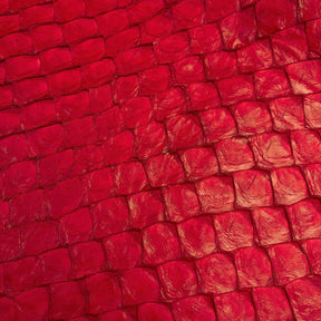 Pirarucu Fish | Semi Shiny | Fiery Red