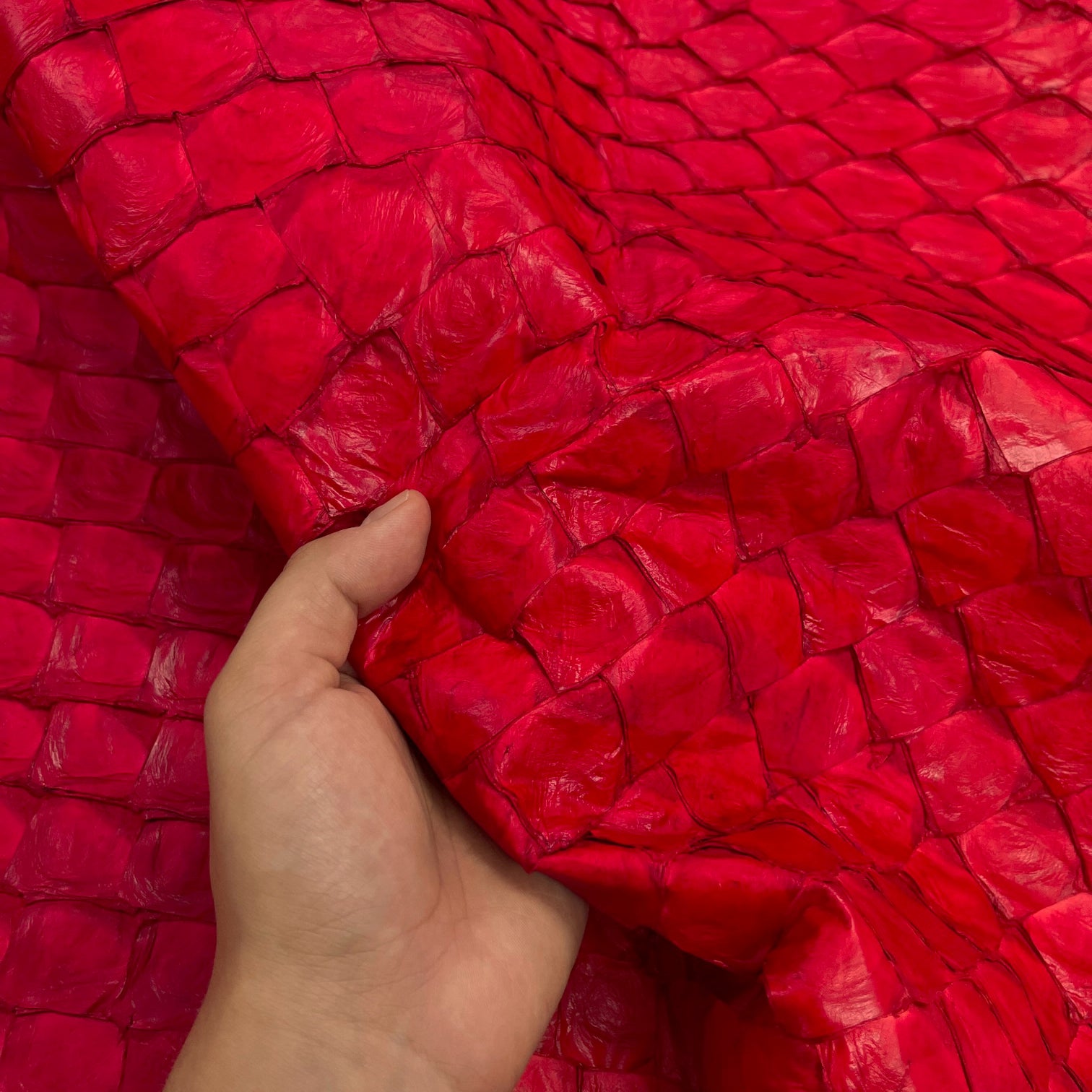 Pirarucu Fish | Semi Shiny | Fiery Red