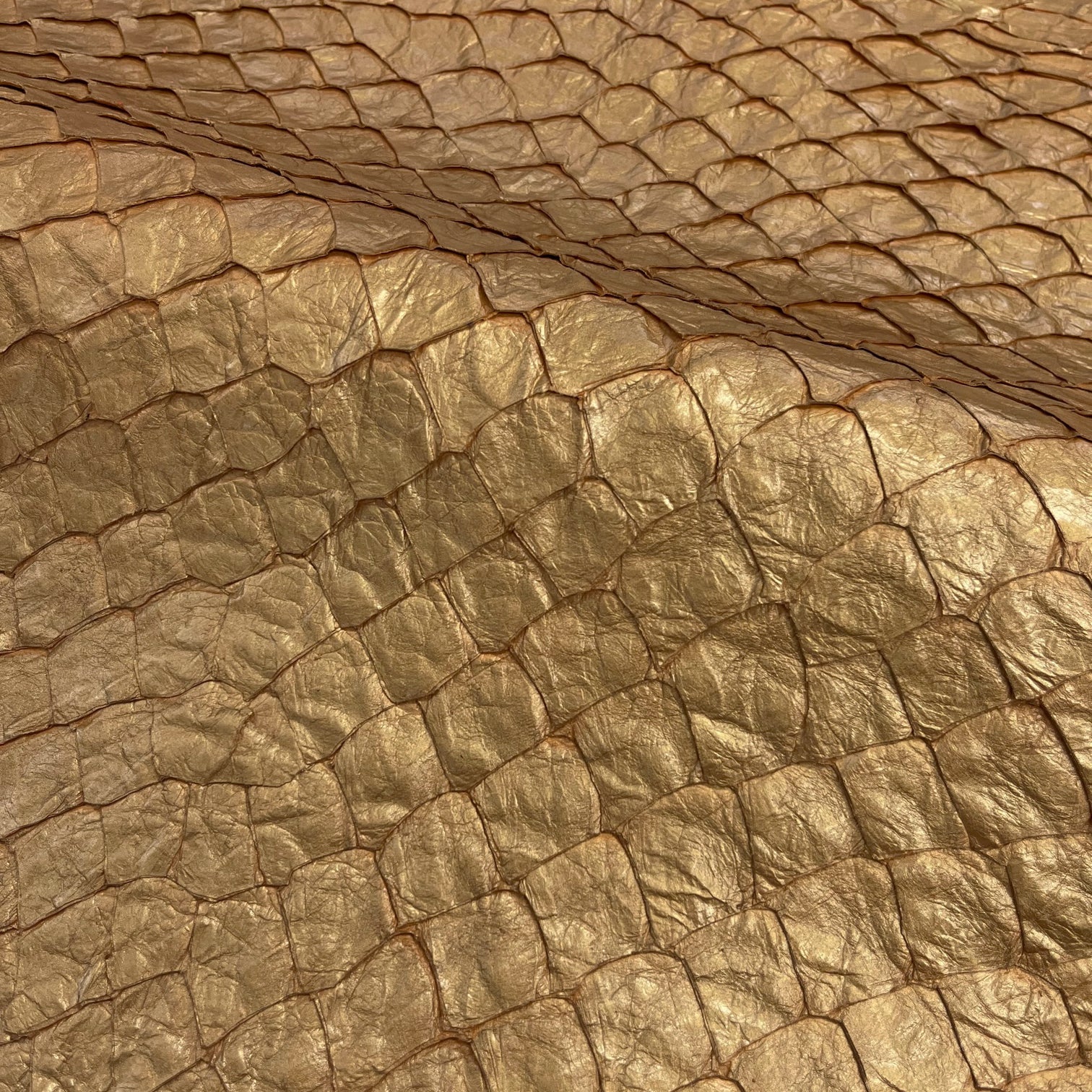 Pirarucu Fish | Shine | Gold