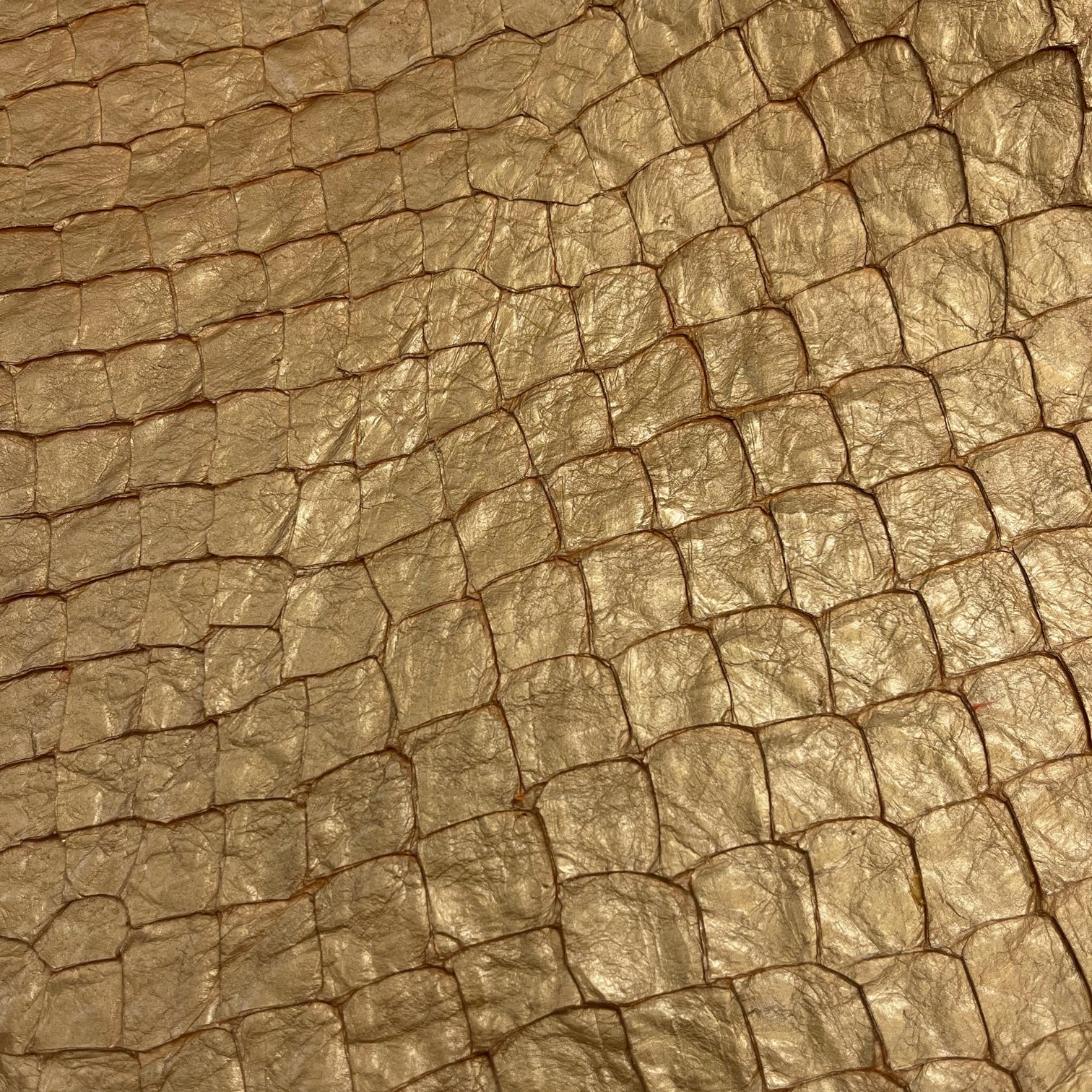 Pirarucu Fish | Shine | Gold