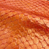Pirarucu Fish | Shine | Vibrant Orange