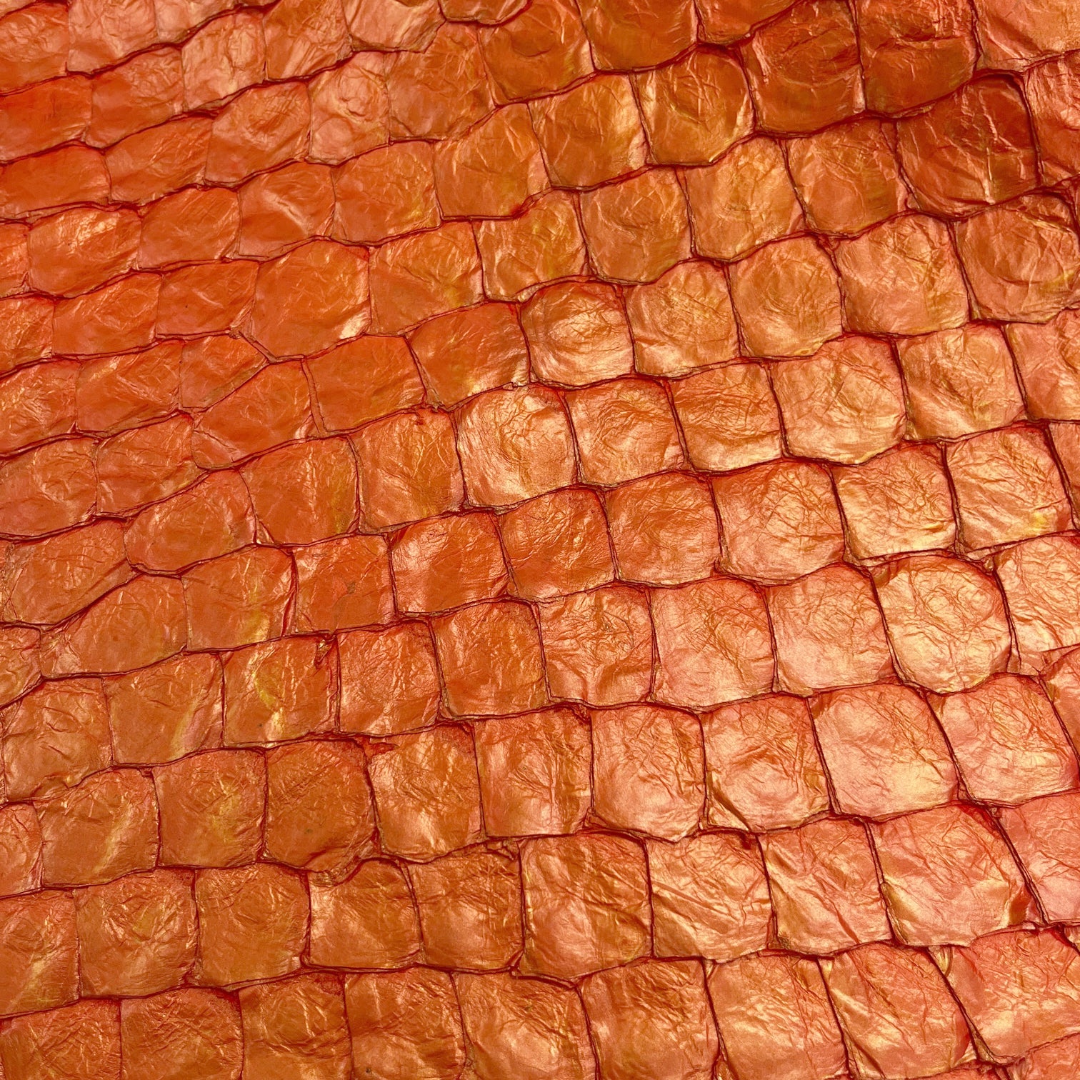 Pirarucu Fish | Shine | Vibrant Orange