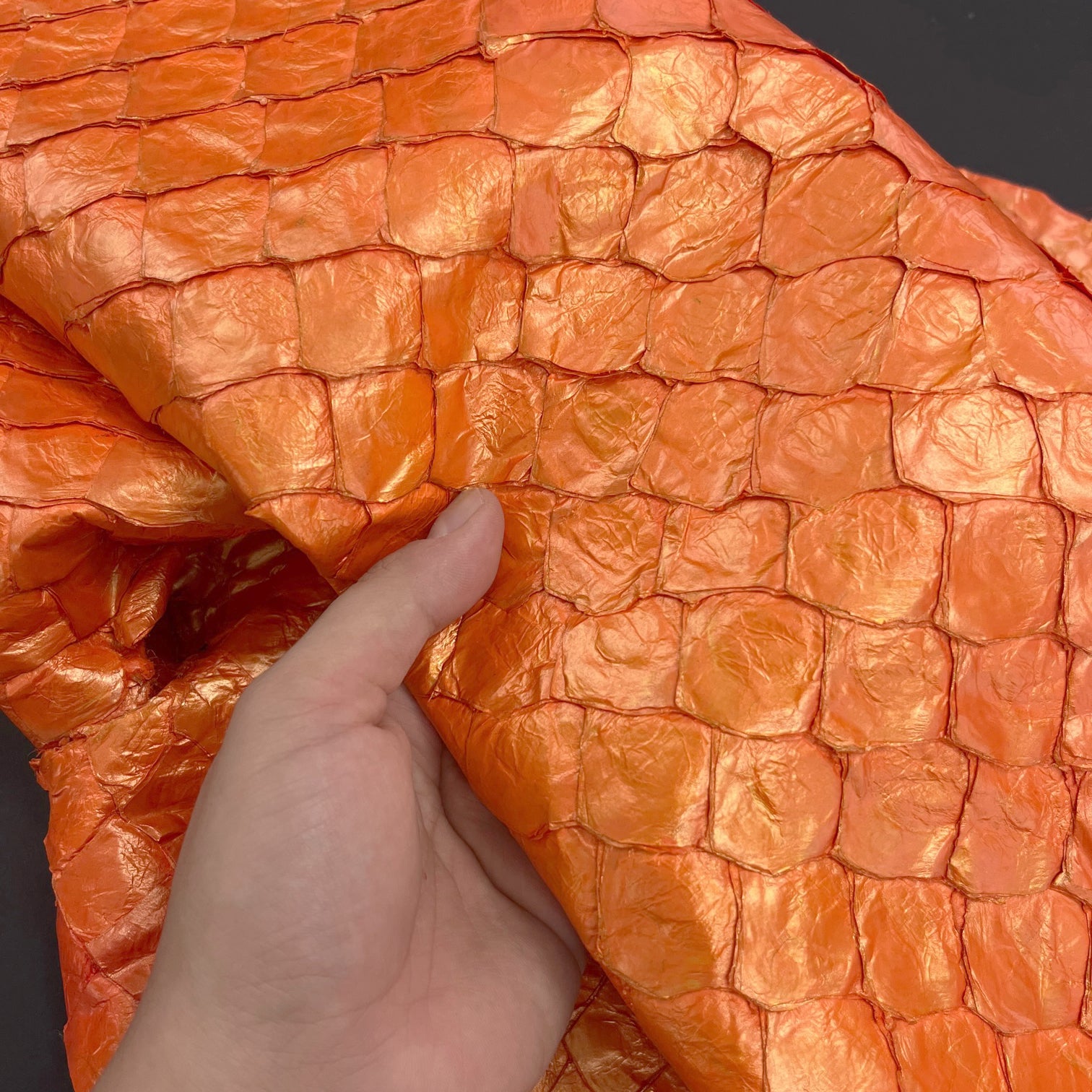 Pirarucu Fish | Shine | Vibrant Orange