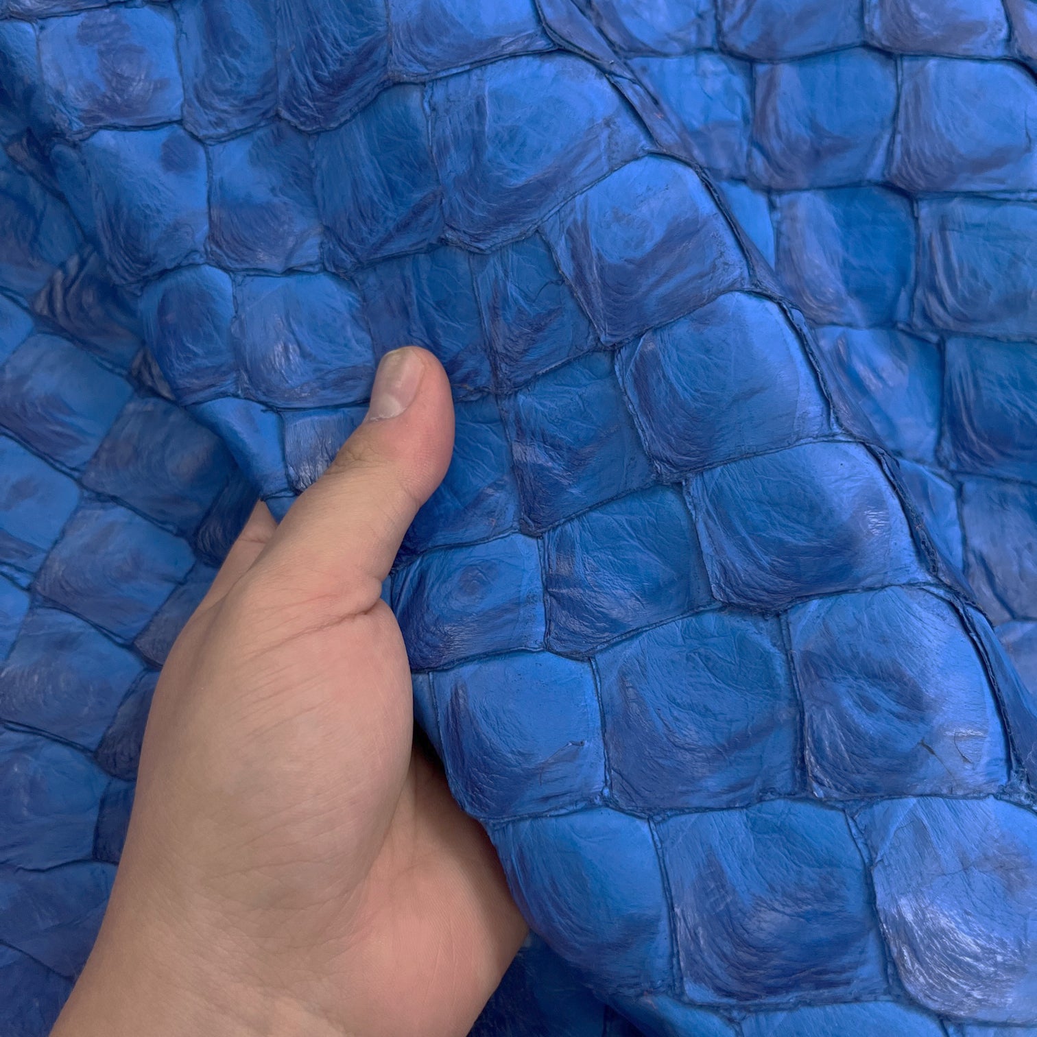Pirarucu Fish | Semi-Shine | Cobalt