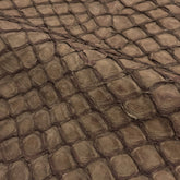 Pirarucu Fish | Inverted Matte | Chocolate