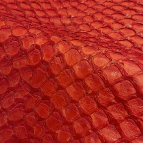 Pirarucu Fish | Inverted Semi-Shine | Red Orange