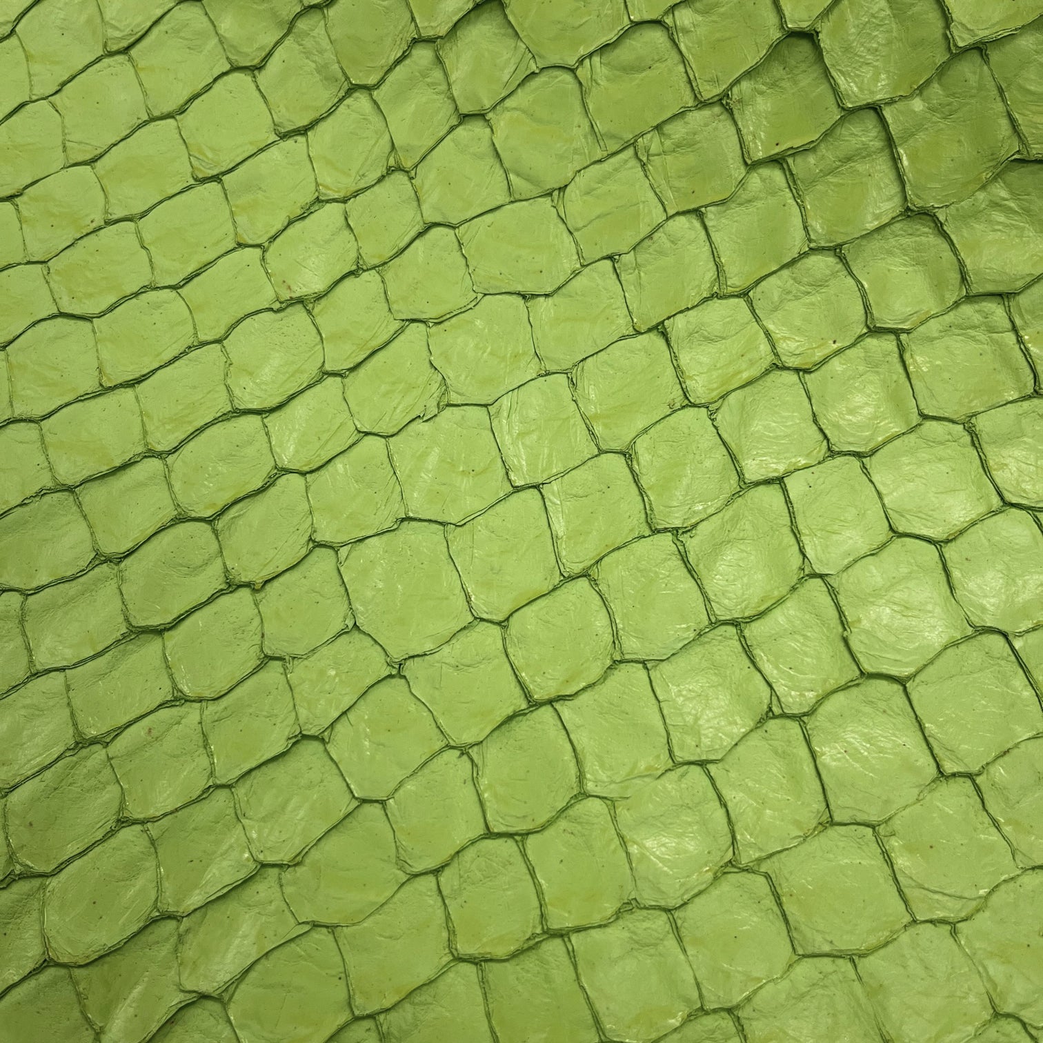 Pirarucu Fish | Shine | Lime Green