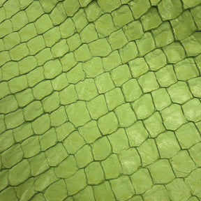 Pirarucu Fish | Shine | Lime Green