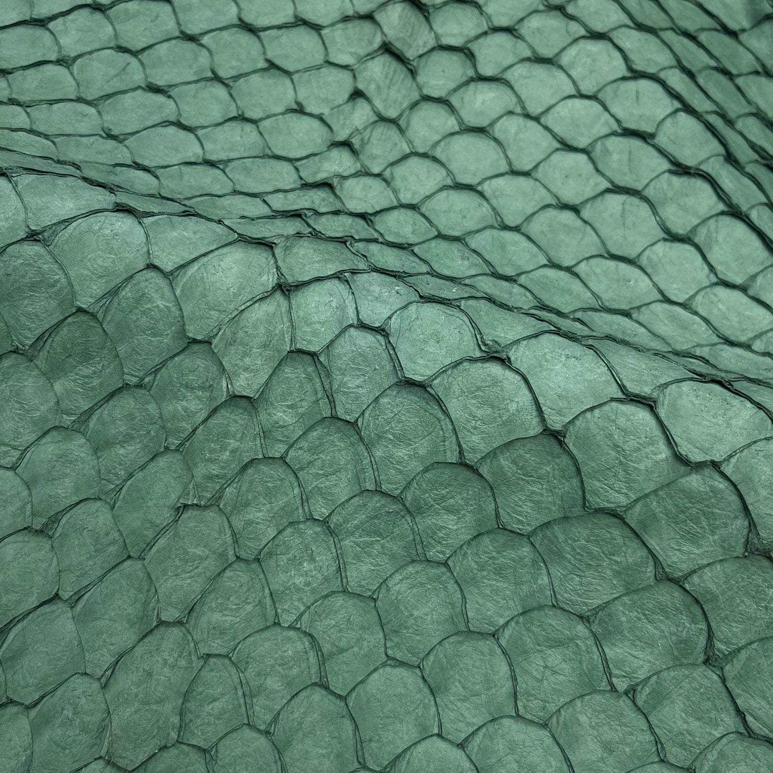 Pirarucu Fish | Matte | Eden Petrolio