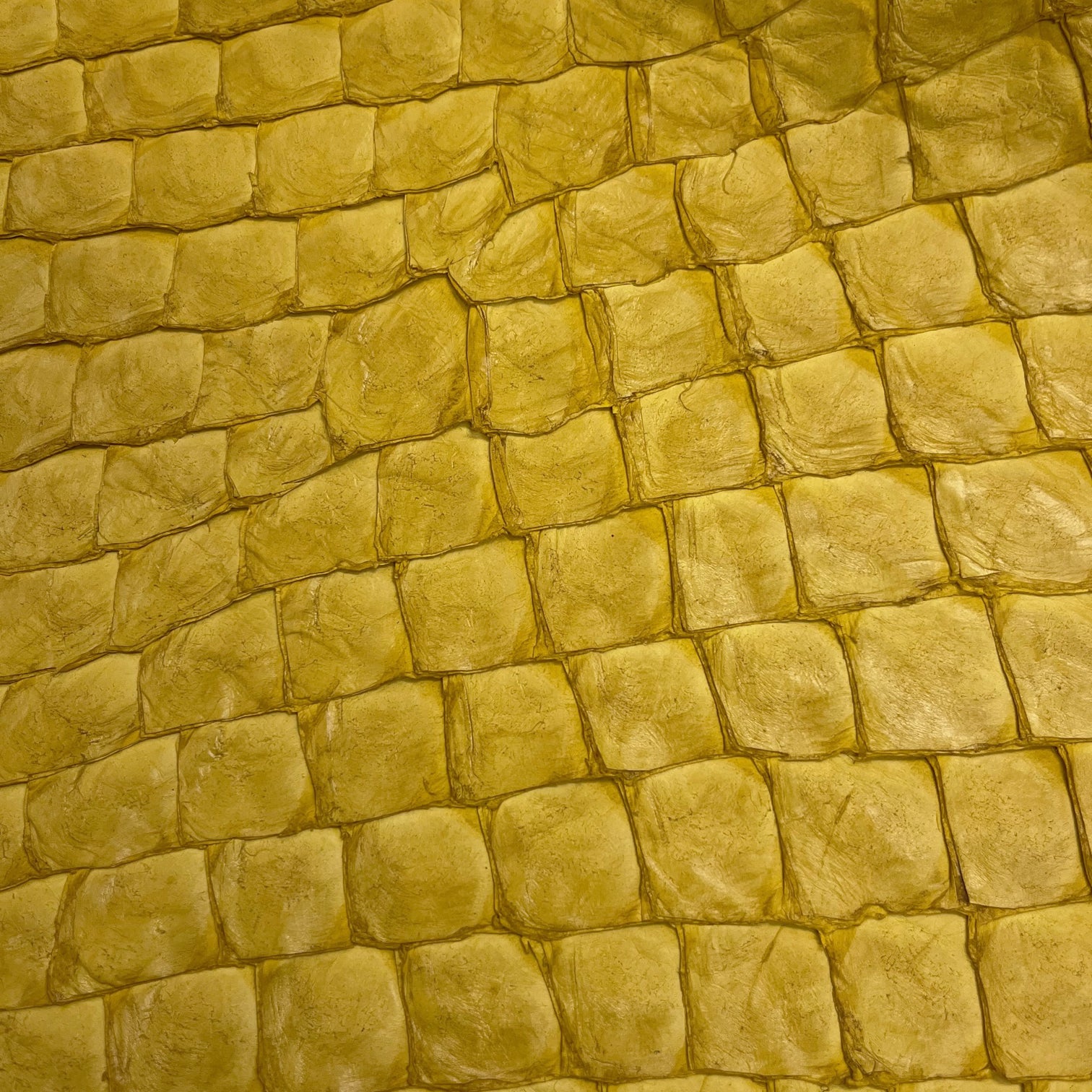 Pirarucu Fish | Semi-Shine | Yellow