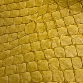 Pirarucu Fish | Semi-Shine | Yellow