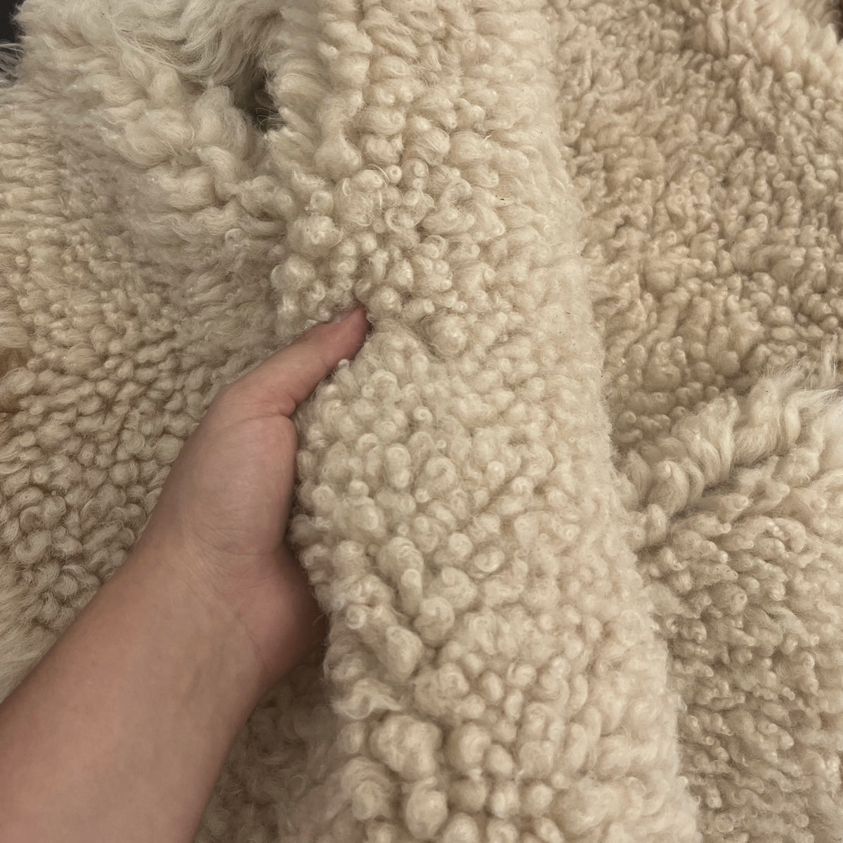 Icelandic Curly Shearling with Suede Back | Ships in 2 weeks
