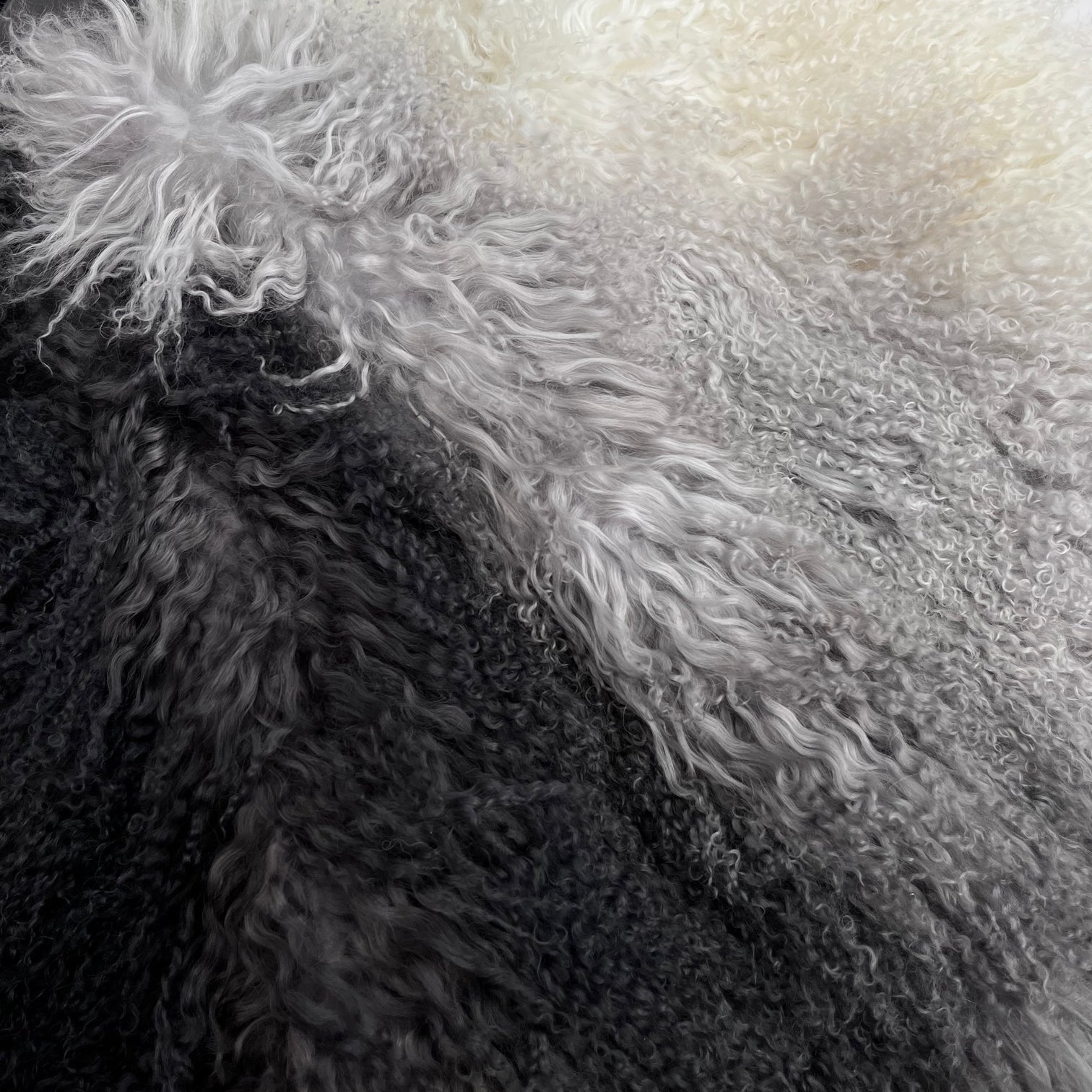 Gradient Mongolian Lamb Plate | Grey