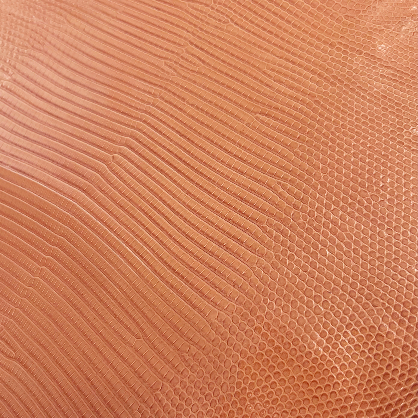 Lizard Skin | Patte Orange (Back Cut)