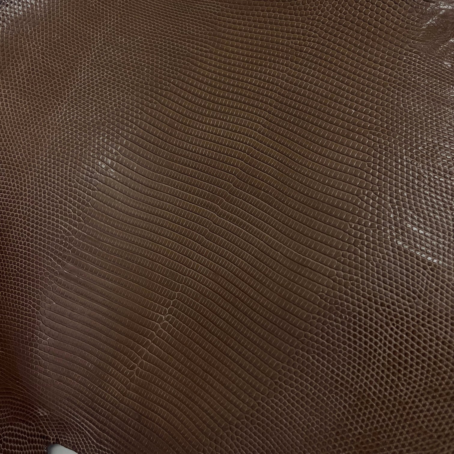 Lizard Skin | Dark Taupe (Back Cut)