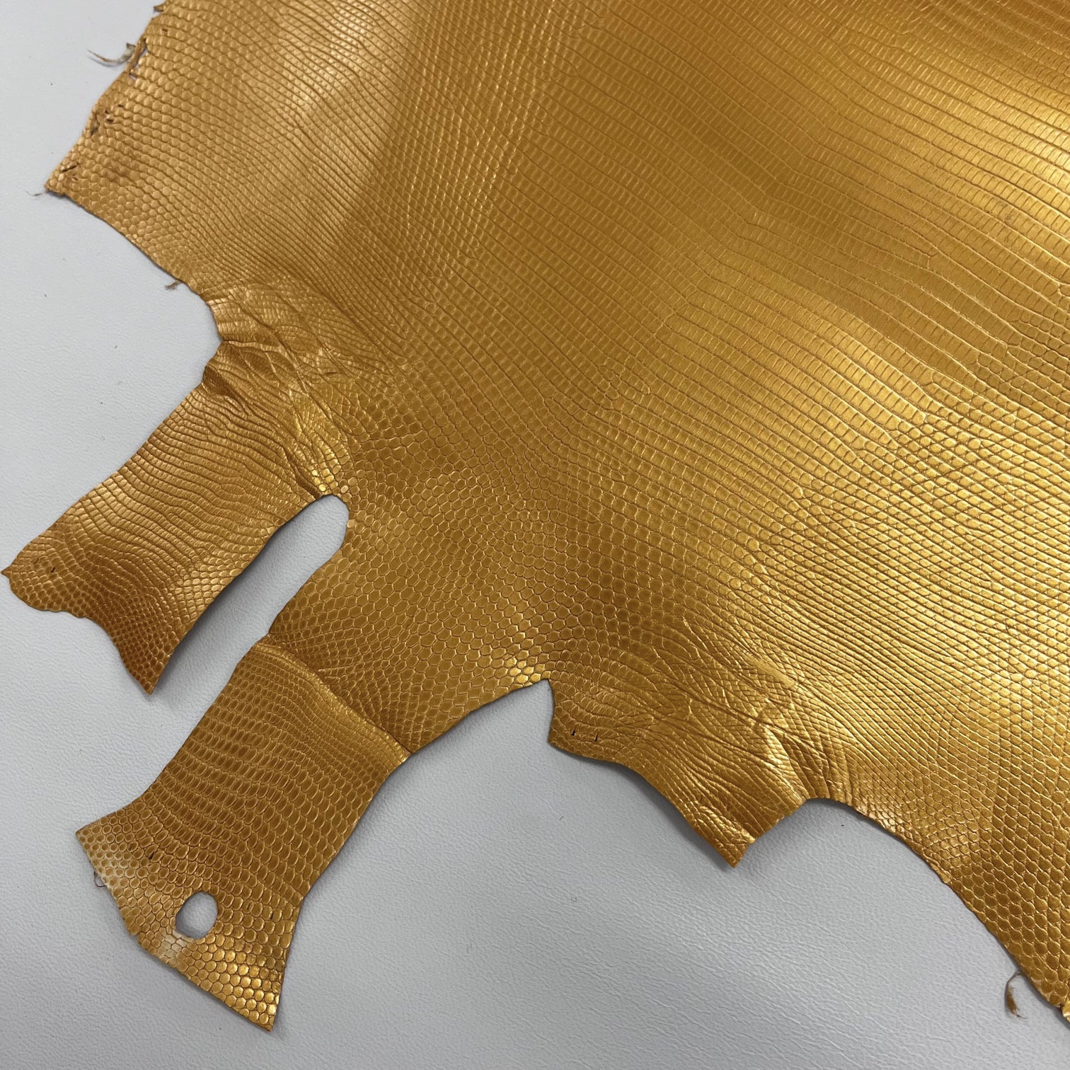 Lizard Skin | Gold (Back Cut)