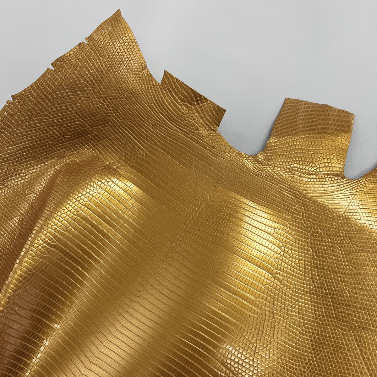 Lizard Skin | Gold (Back Cut)