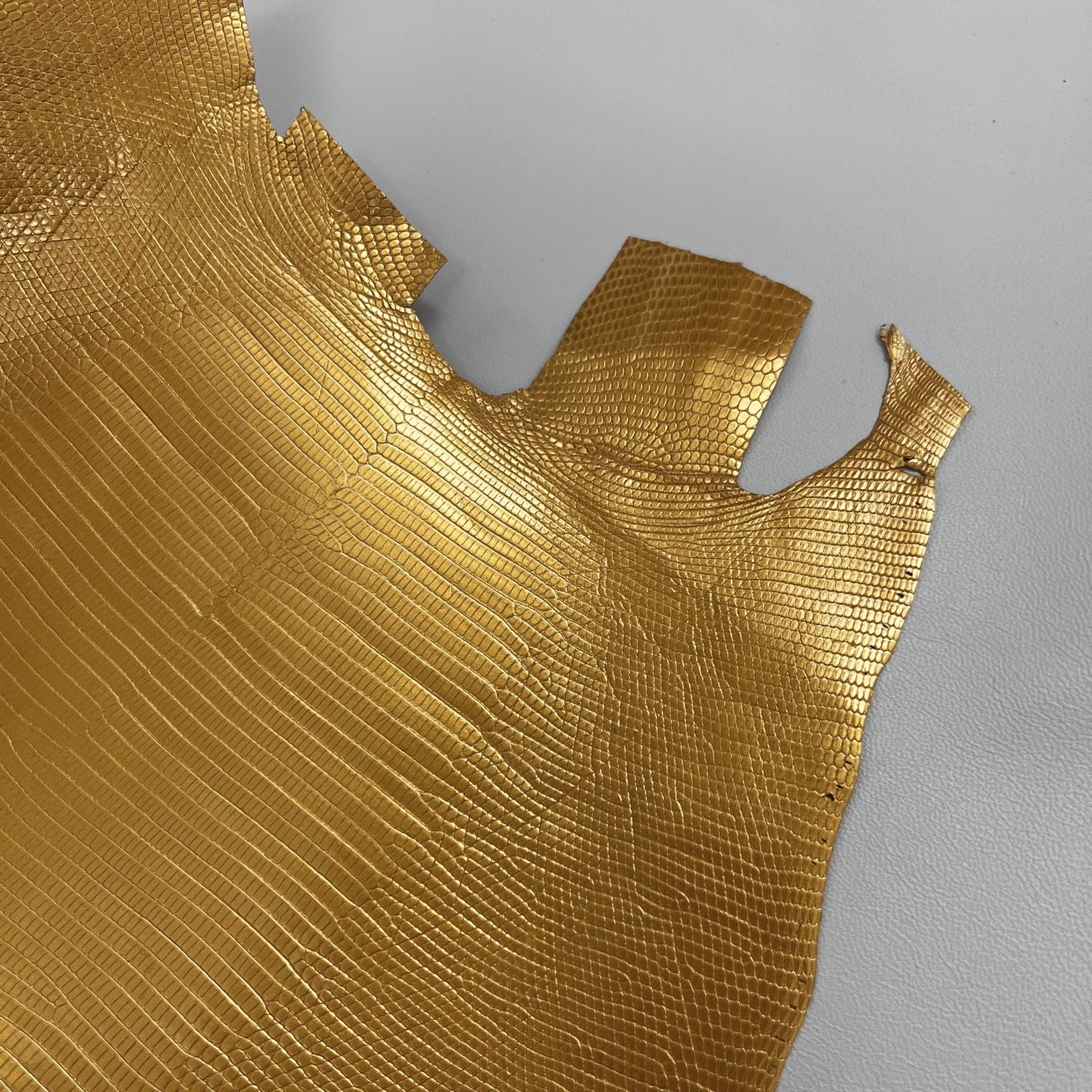 Lizard Skin | Gold (Back Cut)